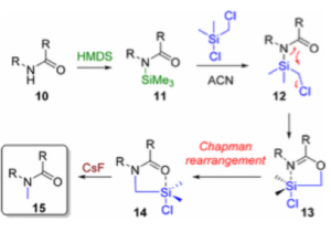 Selective N Methylation Of Amides Using Chloromethyl